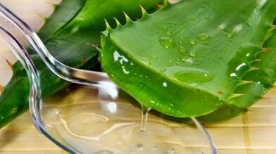 Aloe upang madagdagan ang potensyal ng mga kalalakihan