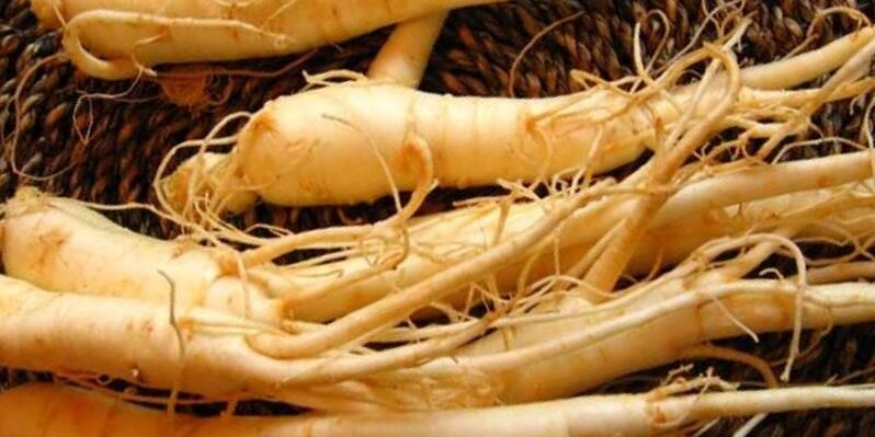 ginseng root upang madagdagan ang potency